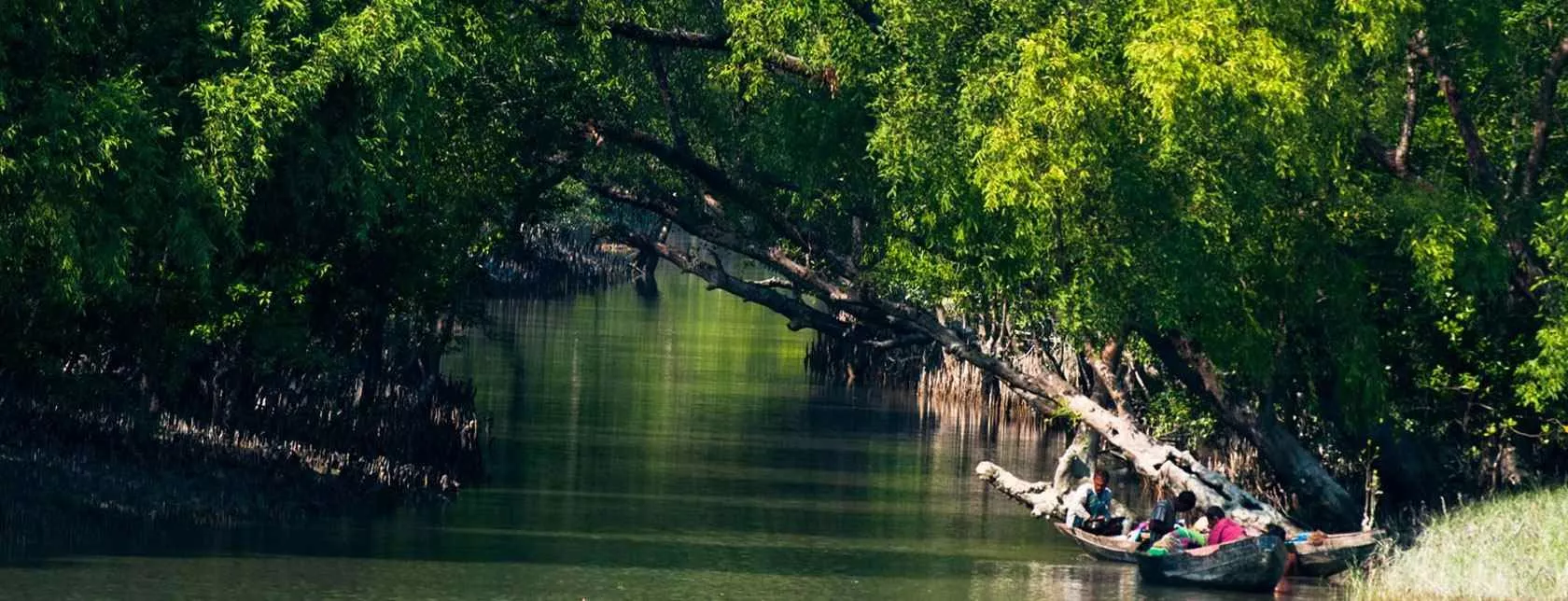 Best Sundarban Tour Package from Delhi 