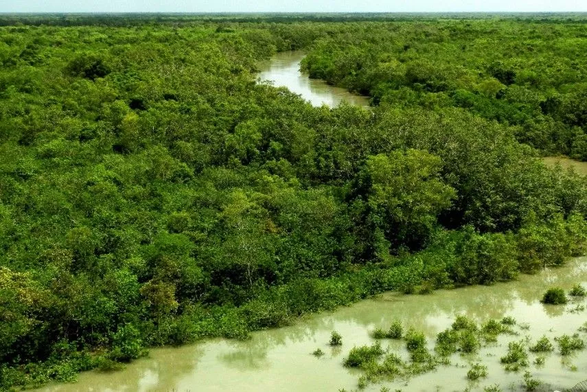 Best Tour Operator for Sunderban Package