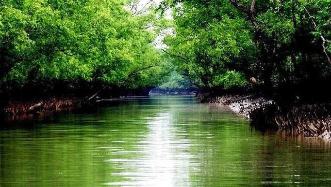 Sundarban Tourism