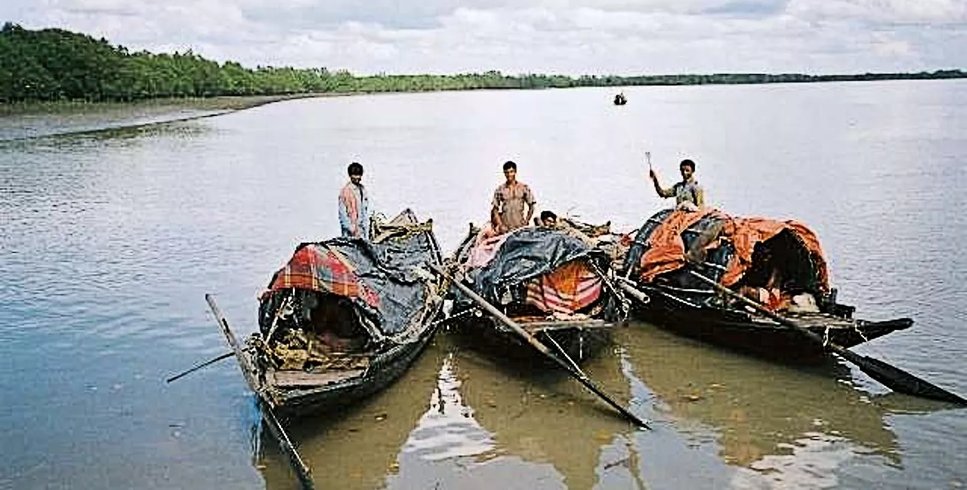 Why The local life in Sundarbans is unique and fascinating?