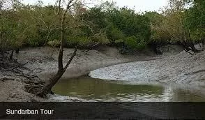 Booking of Sundarbans day tour