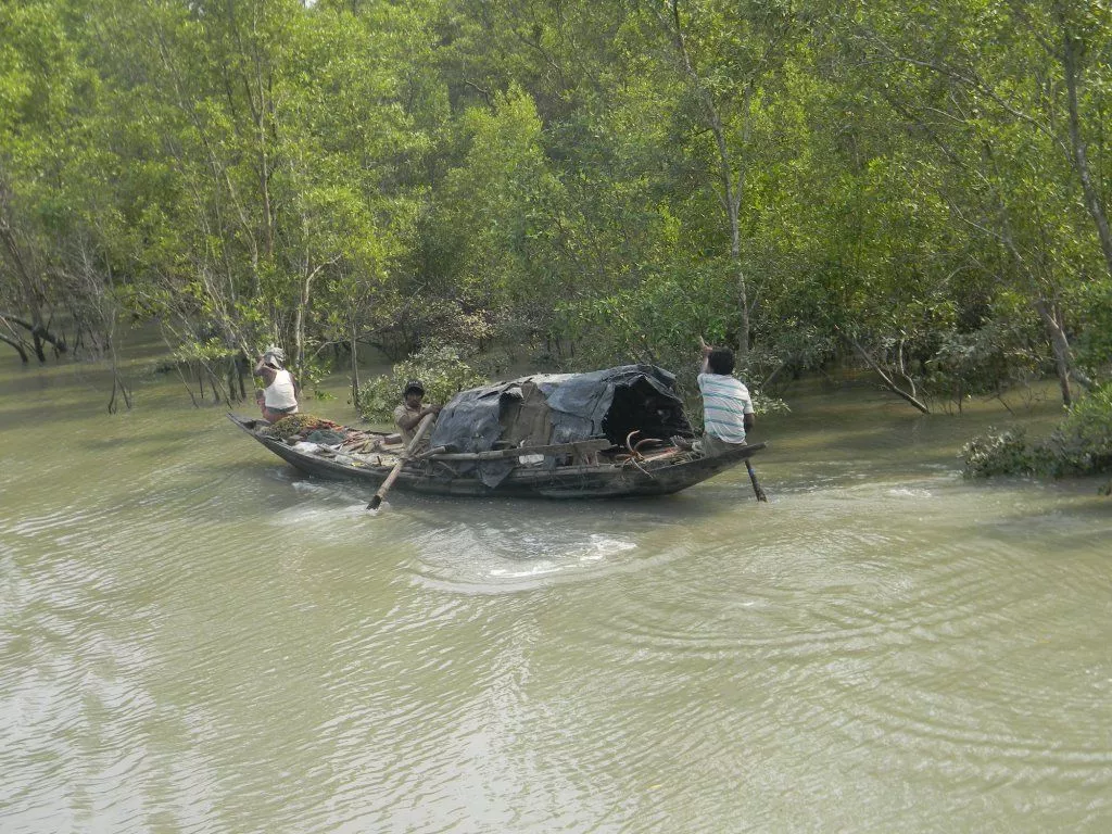 Cost of Sundarban Family Package from Delhi
