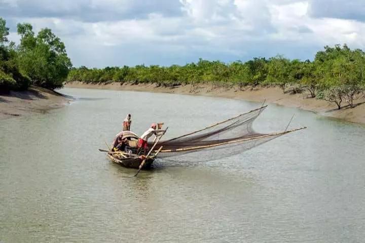 Cost of Sundarbans Luxury Tour from Canning