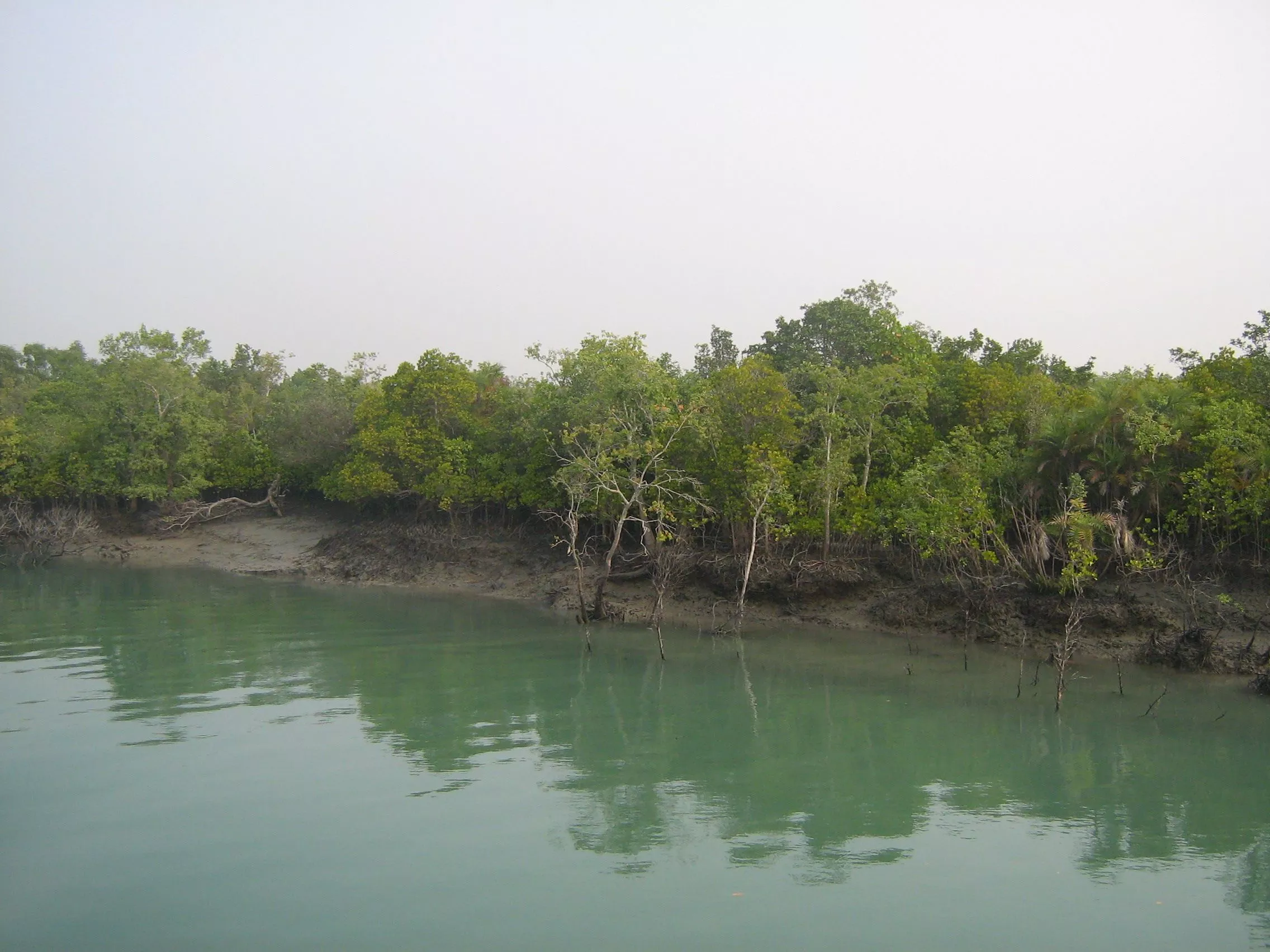 Day Trip cost of Sunderban from Canning