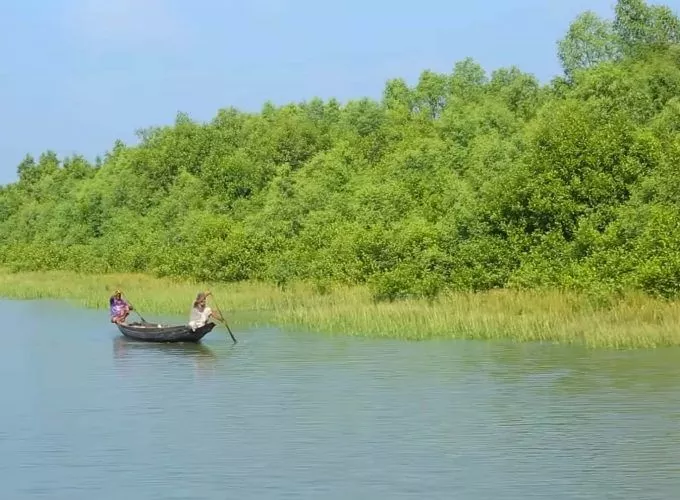 Full day Trip to Sundarban National Park