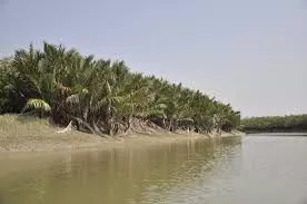 Guide for Sundarbans Jungle tour