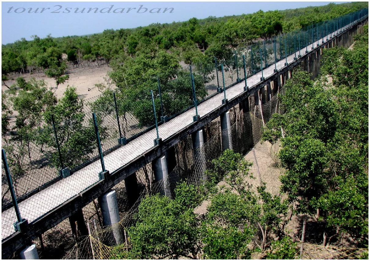 Guide for Sunderban Jungle tour