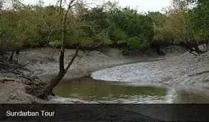 One night two days Sundarbans National Park Package