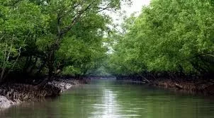 One night two days Sunderban National Park Package