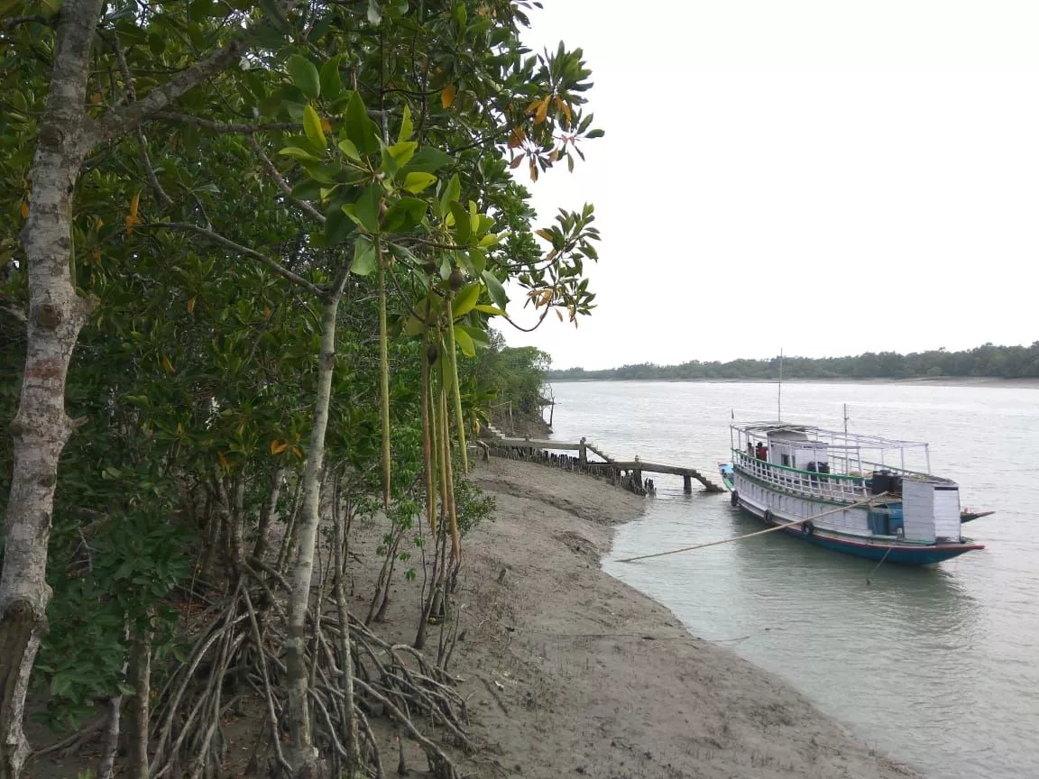 Sundarban Forest package tour from Mumbai