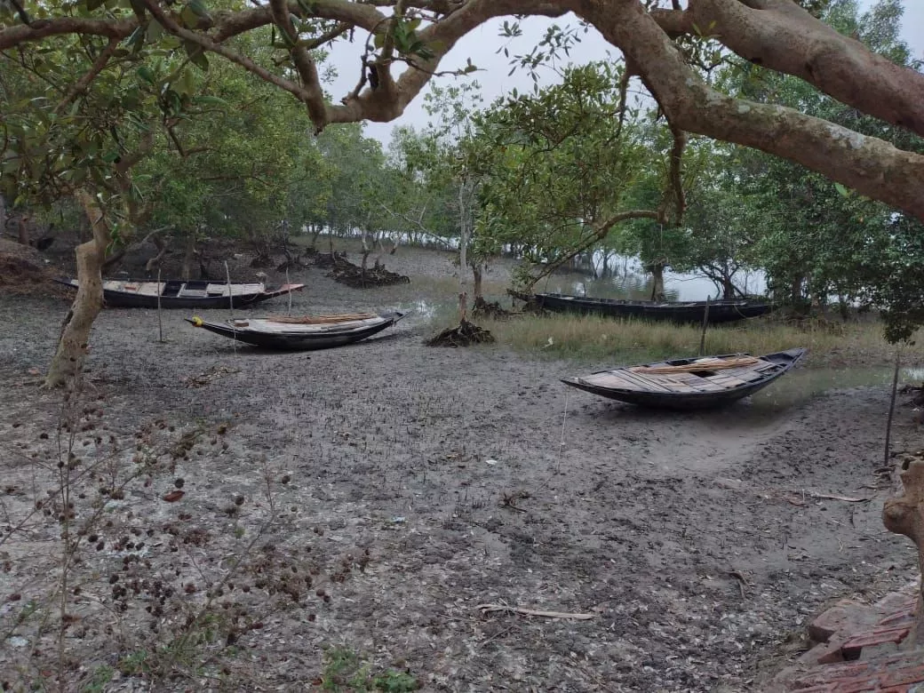 Sundarban Holiday Packages from Canning