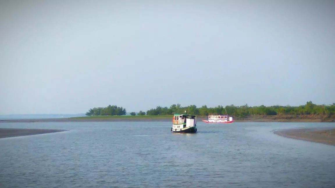 Sundarban Jungle Safari By Boat
