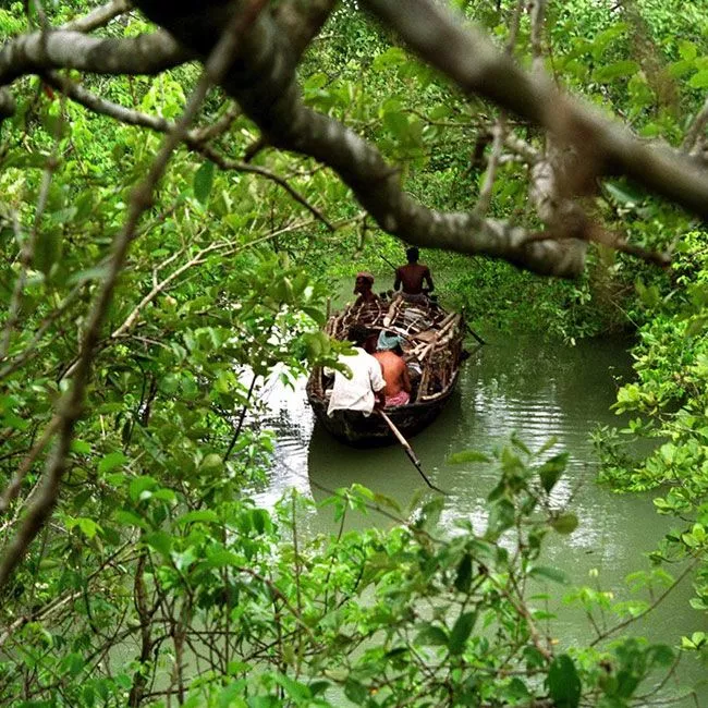 Sundarban Special Trip from Canning