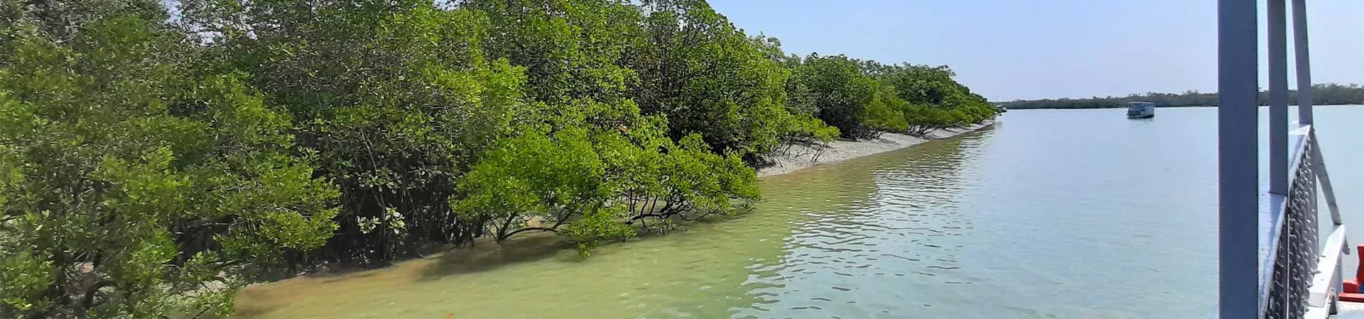 Sundarban tour Guide