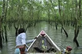 Sundarban tours 2 nights 3 days from Canning