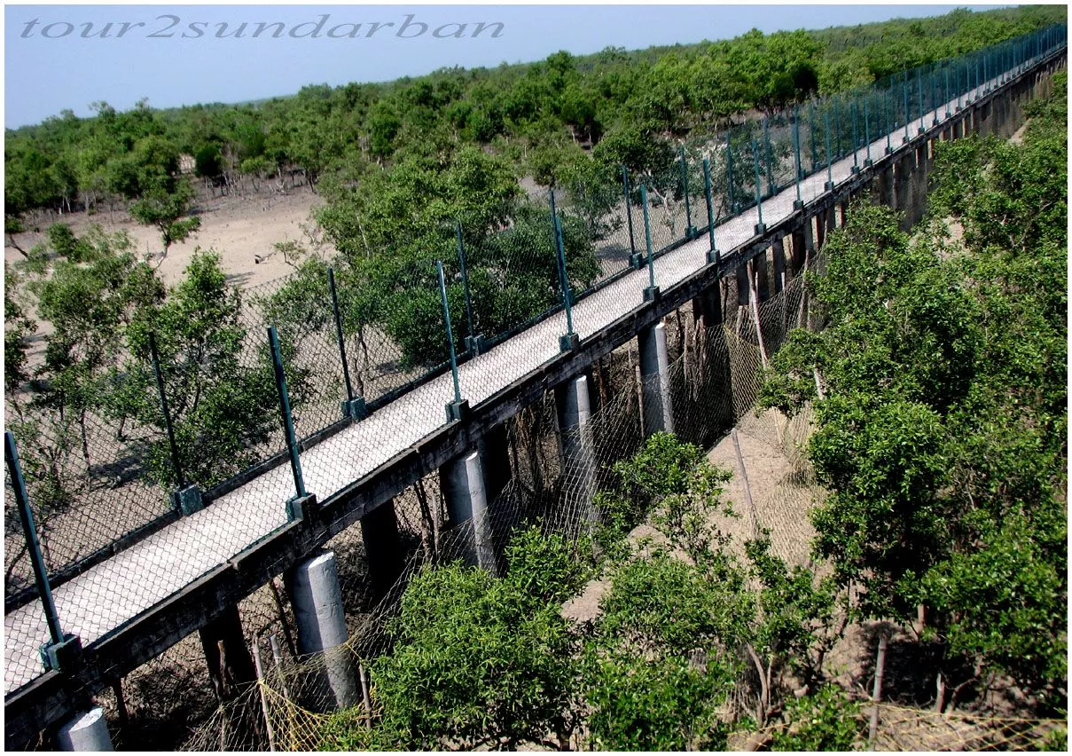 Sundarban Trip Cost from Gothkhali