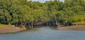 Sundarban Trip from Canning
