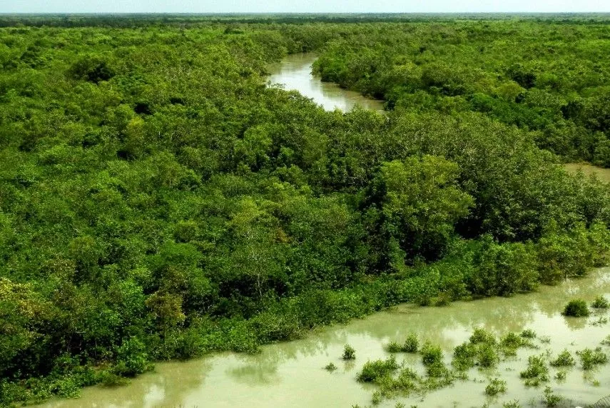 Sundarban Weekend Destination from Chennai