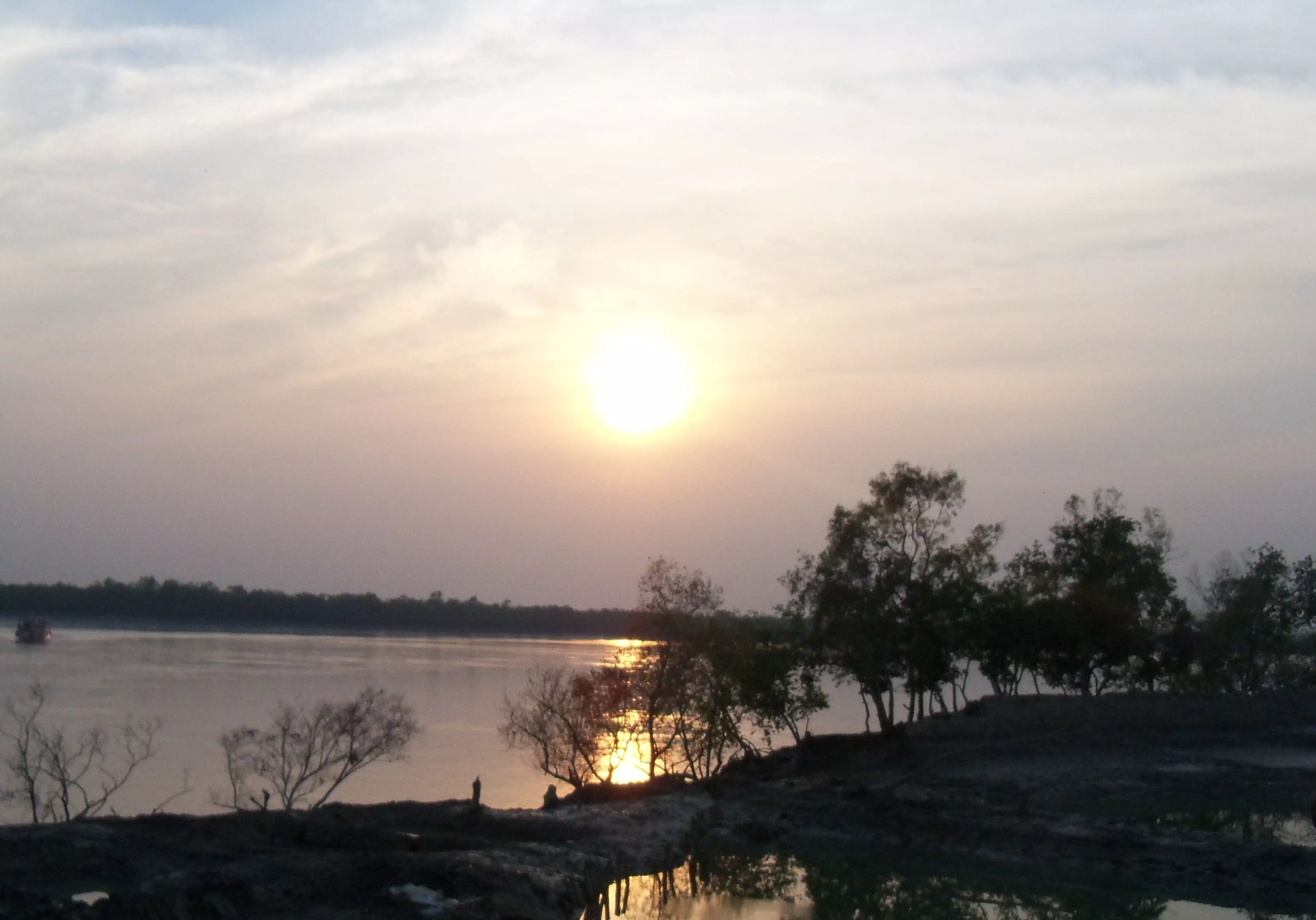 Sundarban Wildlife Tour from Delhi 