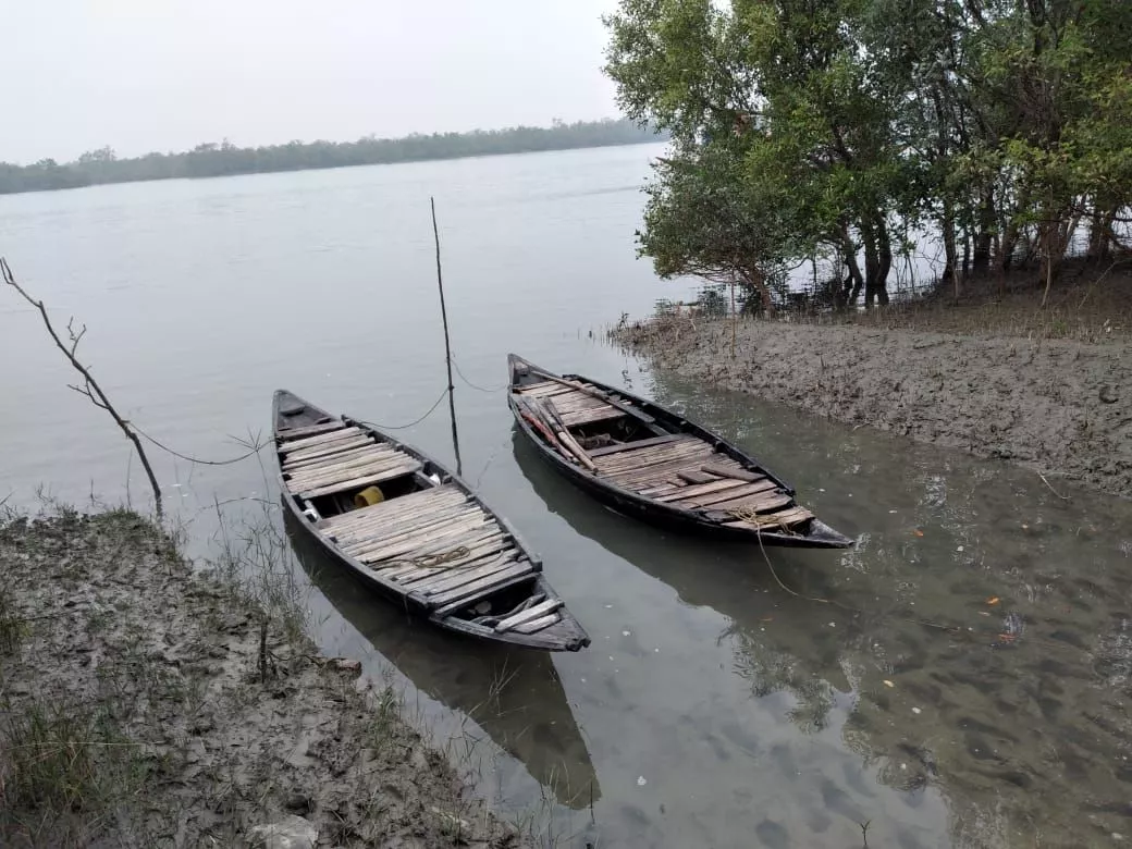 Sundarbans Forest package tour from Chennai