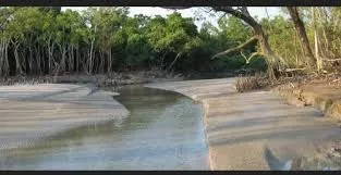 Sundarbans Wildlife Tour for 3 days