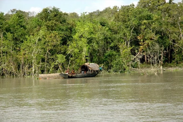 Sundarbans Wildlife Tour from Hyderabad
