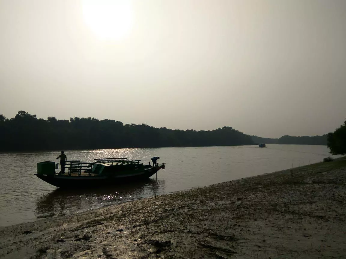 Sunderban Forest tour  from Hyderabad