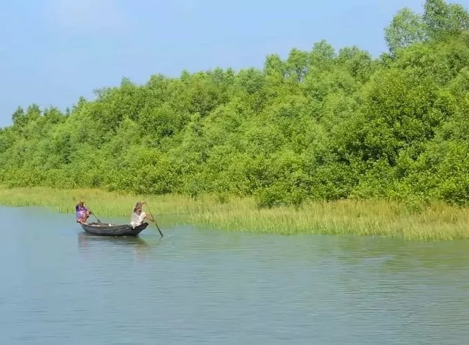 Tour operator for Sunderban Package from Canning
