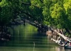 Tour Package cost for Sundarban