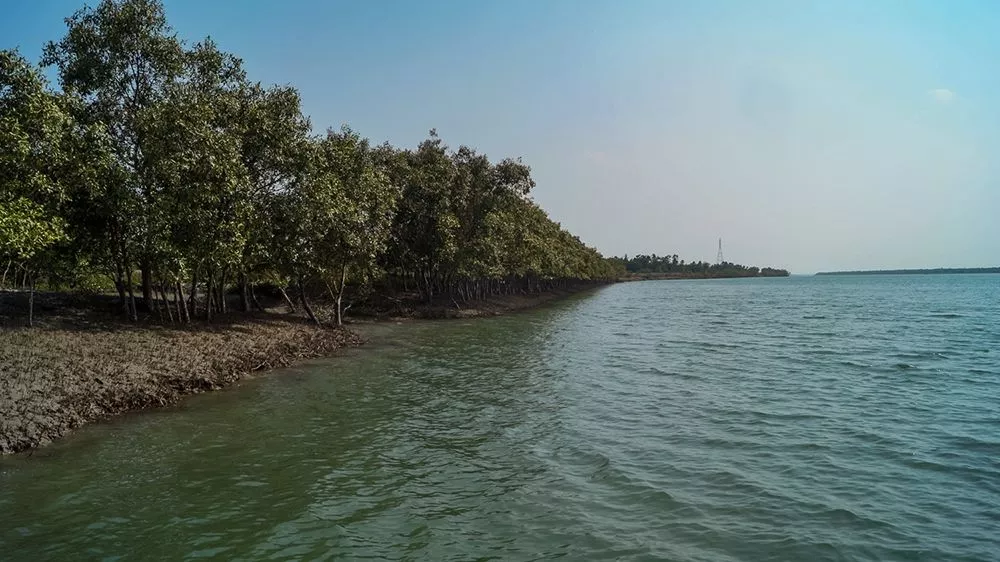 Tour Packages of Sunderban from Hyderabad