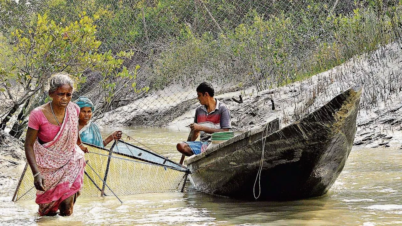 Travel Agency for Sundarban Package
