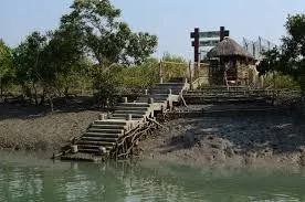 Travel Agency for Sundarban tour package