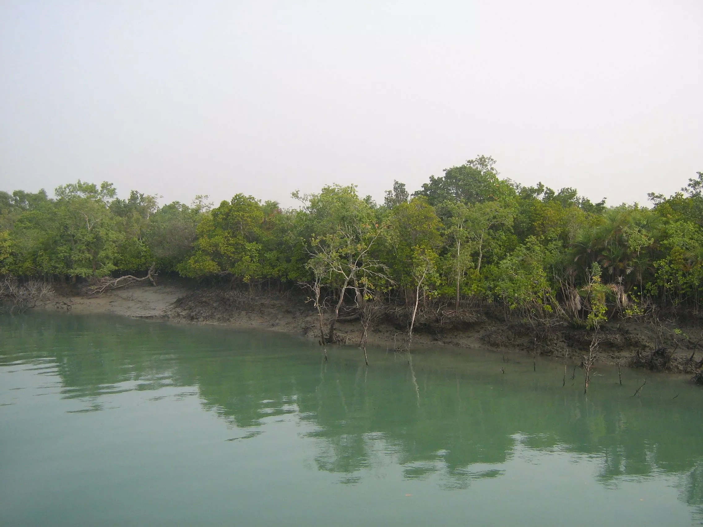 Trip to Sundarban from Chennai