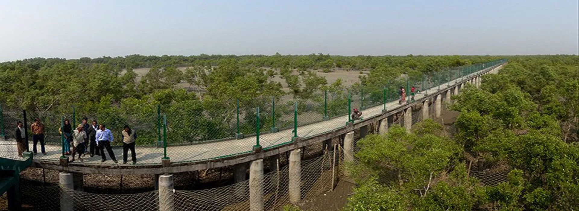 Trip to Sundarban from Gothkhali