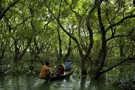 Trip to Sundarban from Mumbai