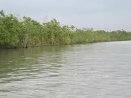 Trip to Sundarbans