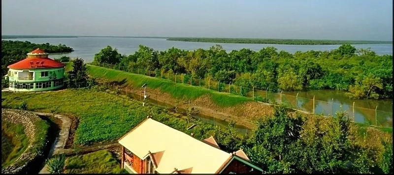 Trip to Sundarbans from Gothkhali