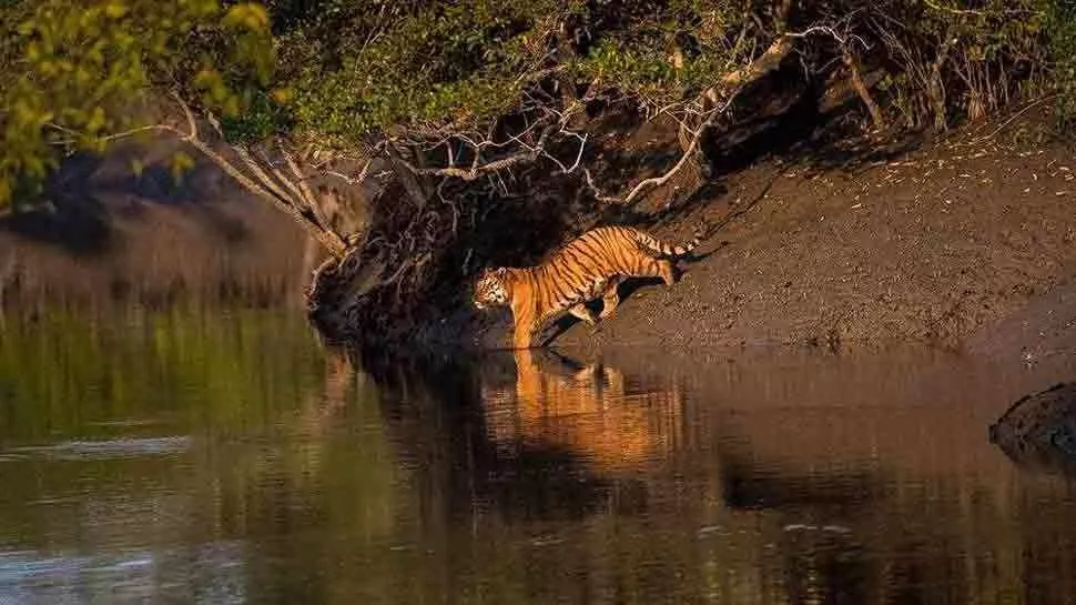 Trip to Sundarbans National Park