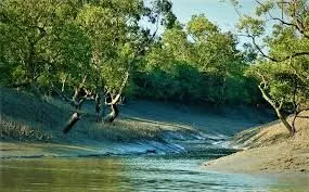 Two nights three days Sunderban National Park Package