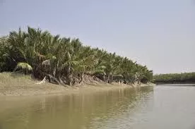 Weekend Jungle Tour at Sundarban from Gothkhali