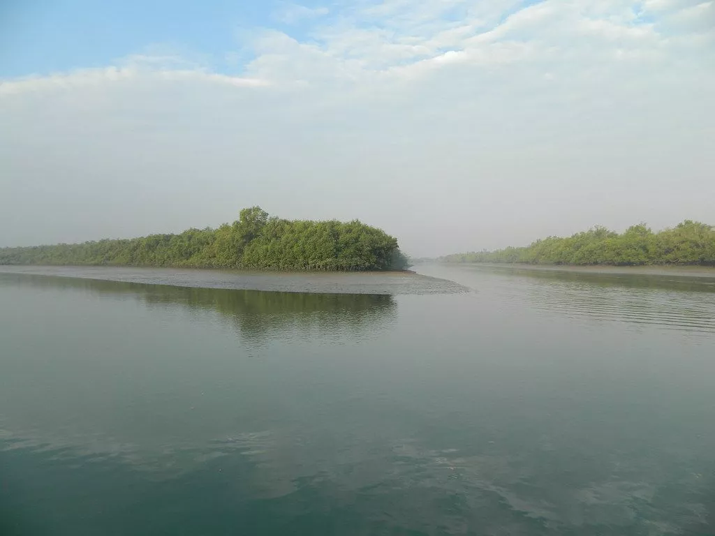 Weekend Jungle Tour at Sundarbans from Gothkhali