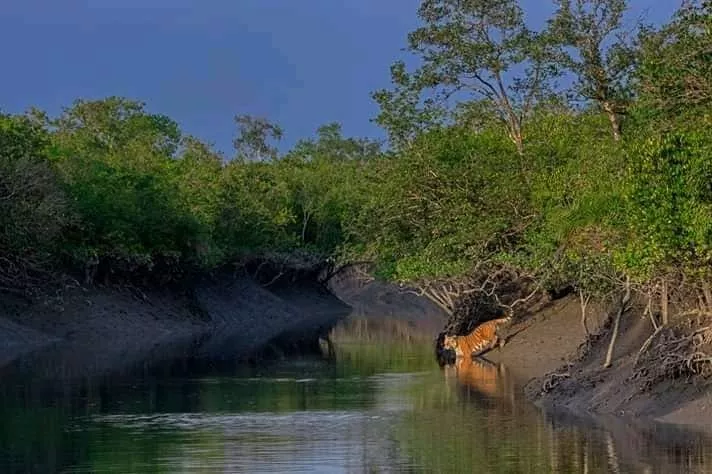 Weekend Package at Sundarban by Boat Safari