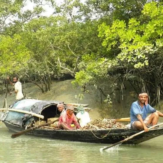 Weekend Package Tour at Sundarban from Hyderabad