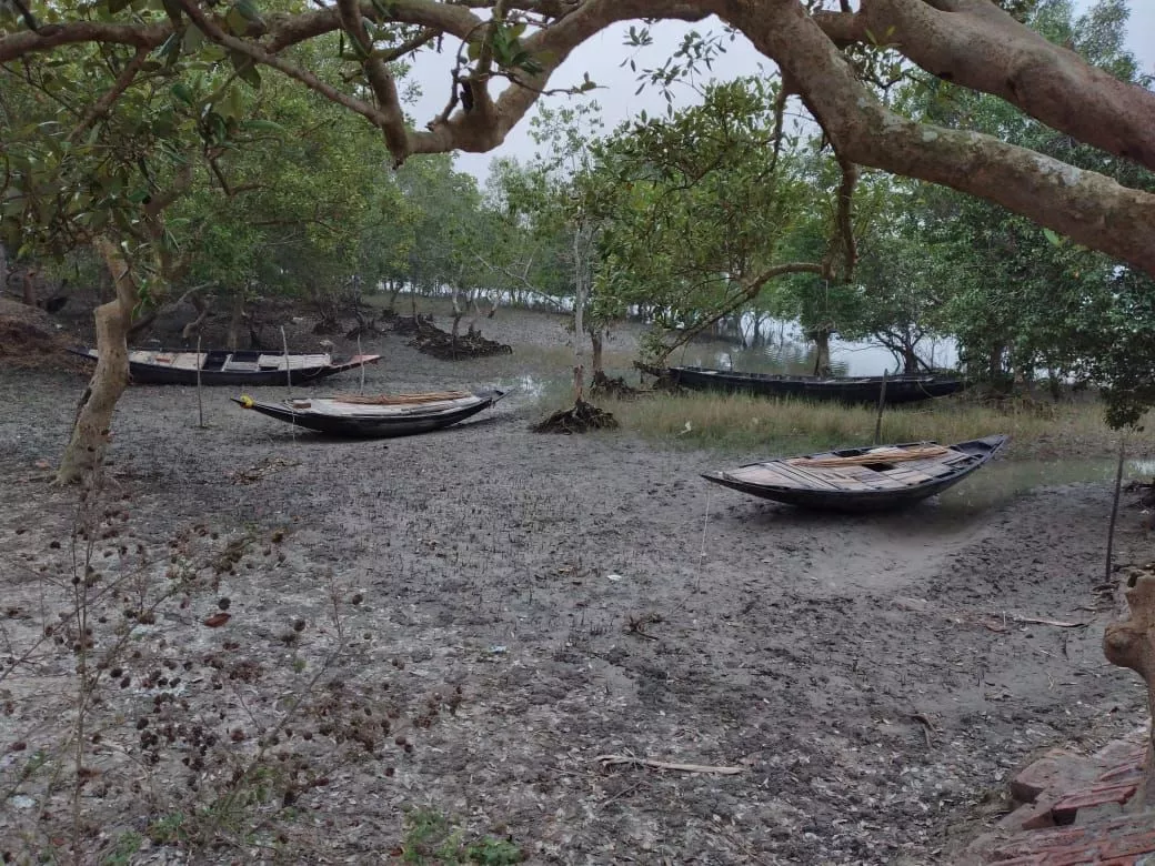 Weekend Package Tour at Sundarbans from Chennai