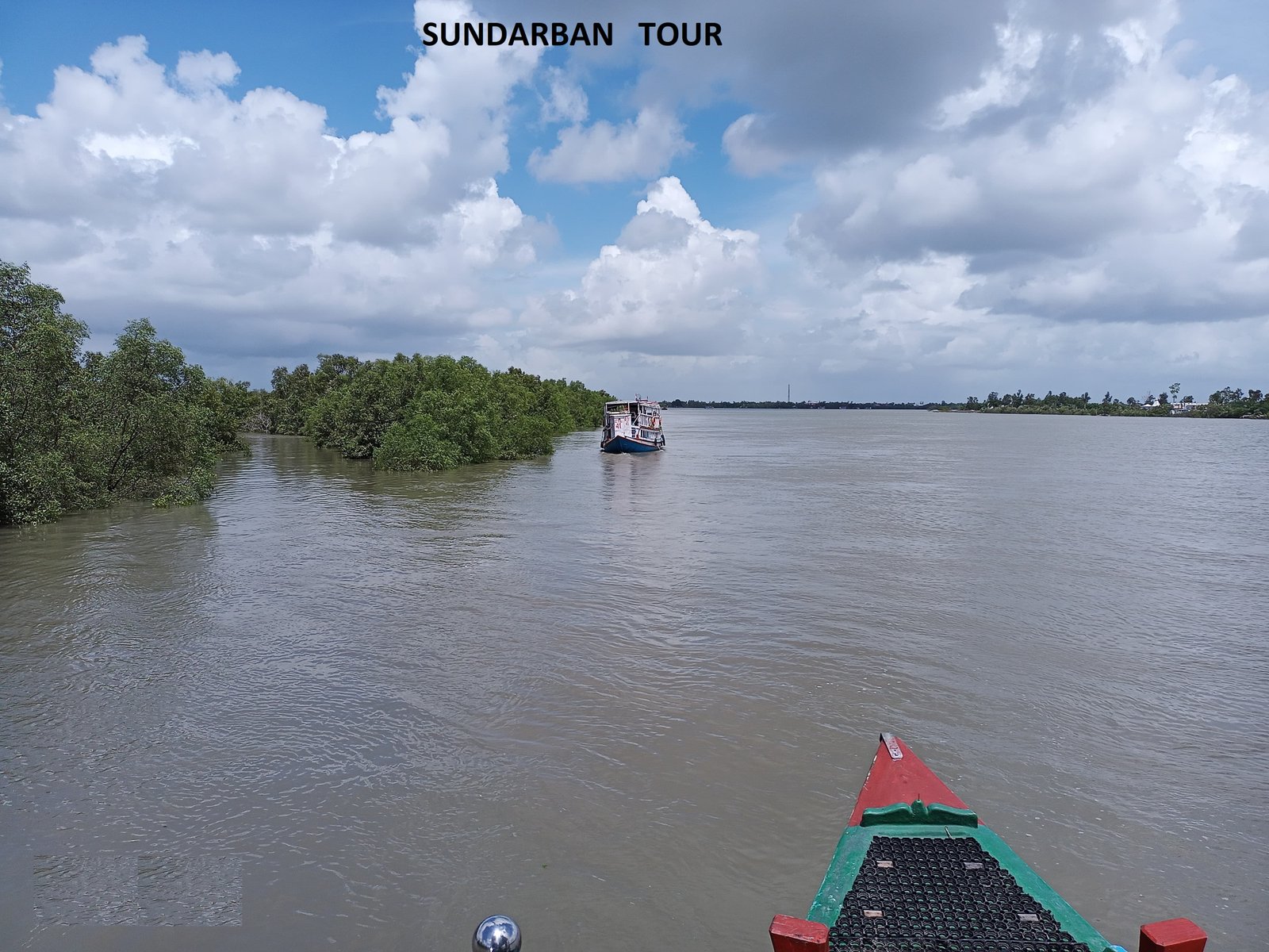 Sundarban River Safari