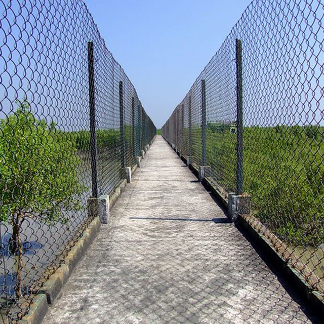 What are the Top Most Places to visit in Sundarban in 2023?