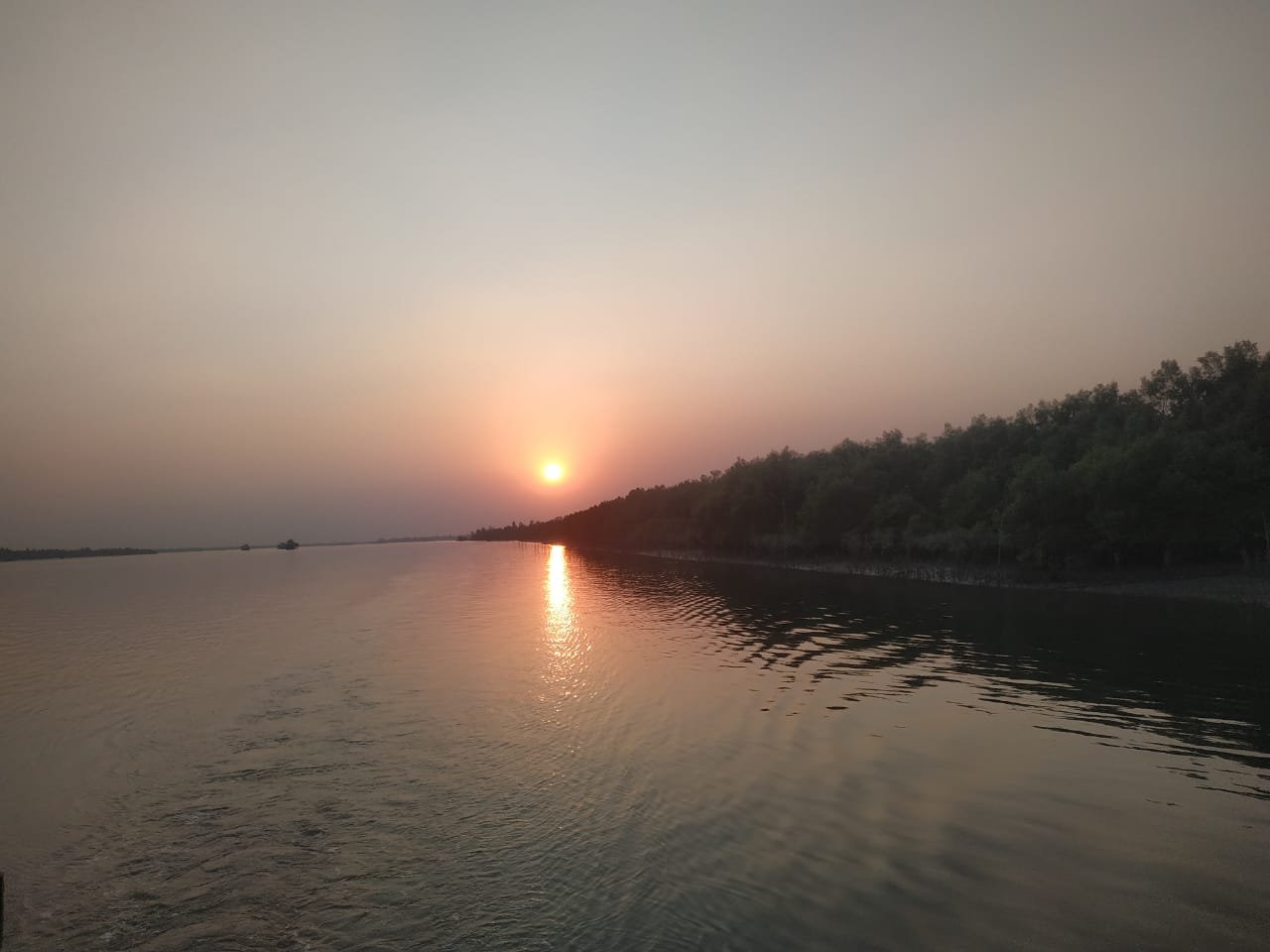 Sundarban Wildlife Safari Tour: Best Time to Visit, Flora and Fauna