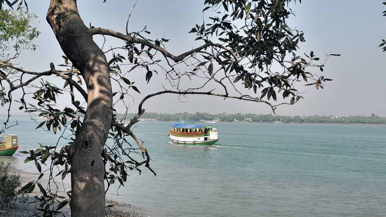 Sundarban Wildlife Attraction