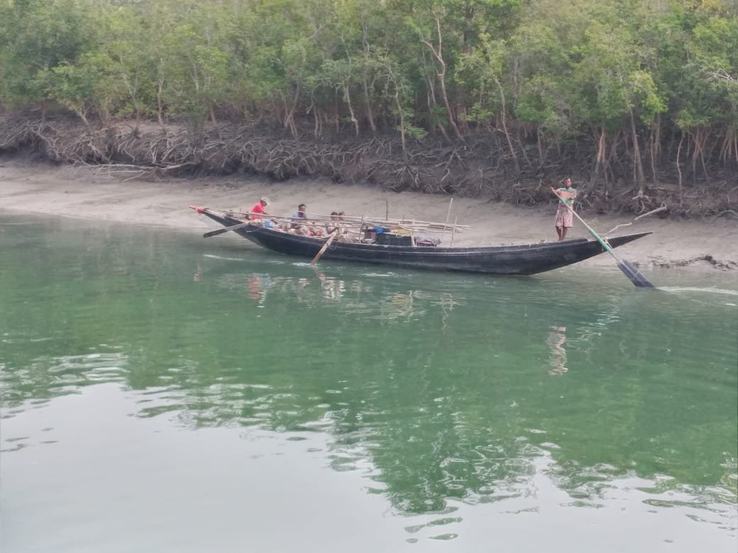 Sundarban Tourism: Uncover Thrilling Mangrove Adventures