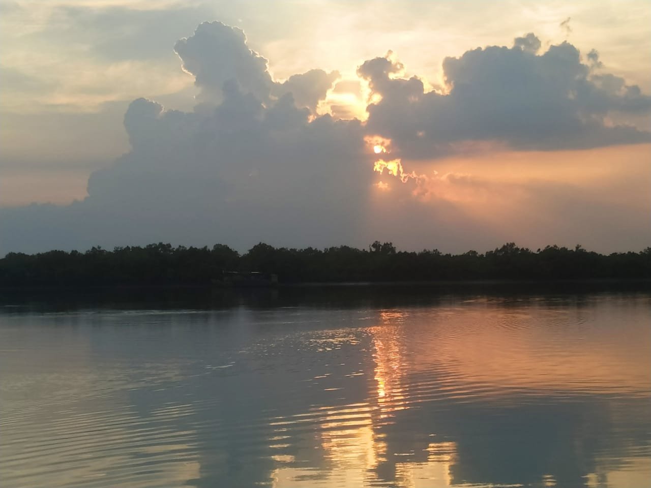 Sundarban Wildlife Safari: Tips for an Unforgettable Trip